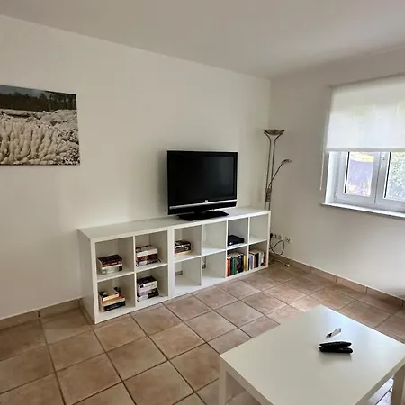 In Oberschondorf Mit Terasse Appartamento *